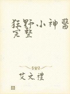 狂野小神医短剧完整