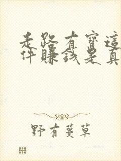 走路有宝这个软件赚钱是真的吗