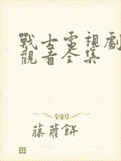 战士电视剧免费观看全集