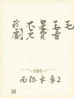 我不是王毛电视剧免费看