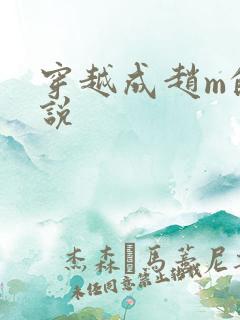 穿越成赵m的小说