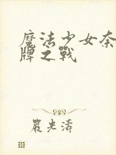 魔法少女奈叶王牌之战