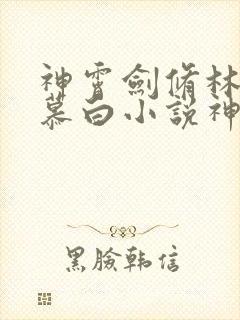 神霄剑修林枫苏慕白小说神霄