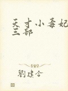 天才小毒妃3第三部