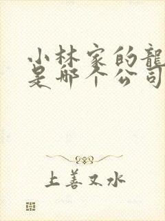 小林家的龙女仆是哪个公司