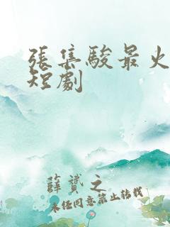 张集骏最火十部短剧