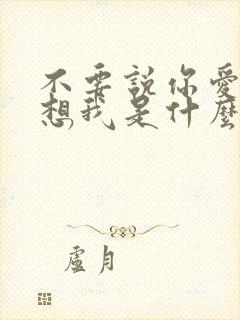 不要说你爱我你想我是什么歌曲