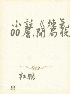 小说《炼气3000层,开局收女帝为徒》