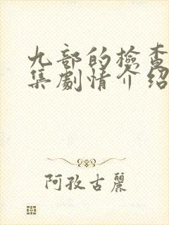 九部的检查官分集剧情介绍