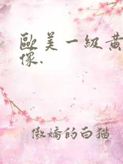 欧美一级黄色录像.