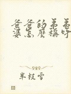 爸爸的弟弟的老婆怎么称呼