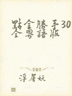 点金胜手30集全粤语版