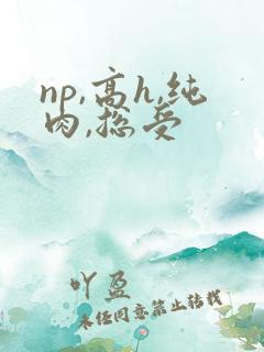 np,高h,纯肉,总受