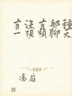 有没有那种一对一视频聊天的软件