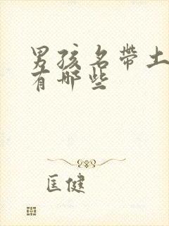 男孩名带土的字有哪些