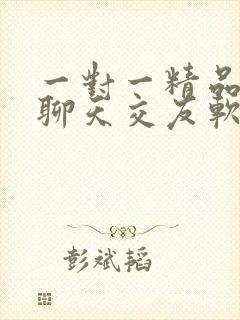 一对一精品视频聊天交友软件