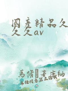 国产精品久久久久久av