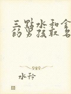 三点水和金字旁的男孩取名