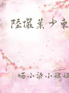 陆俨叶少东番外