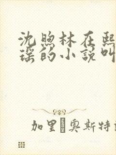 沈煦林在熙宁瑶瑶的小说叫什么名字