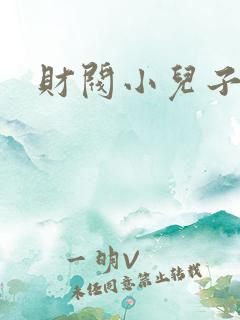 财阀小儿子
