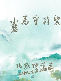 小马宝莉紫悦小盘