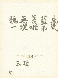 魏无羡蓝忘机第一次啪第几章