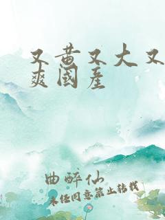 又黄又大又色又爽国产