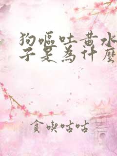 狗呕吐黄水带沫子是为什么