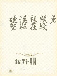 硬汉视频免费完整版在线