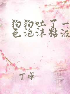 狗狗吐了一滩白色泡沫粘液方法