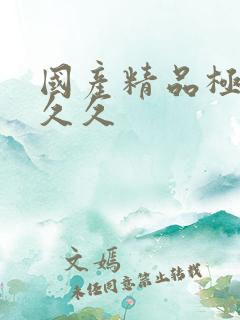 国产精品极品久久久