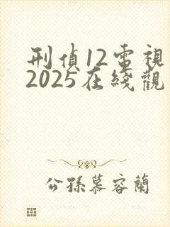 刑侦12电视剧2025在线观看免费