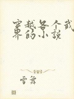 穿越各个武侠世界的小说