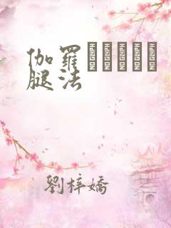 伽罗あちゃんが腿法