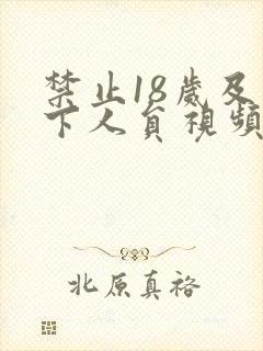 禁止18岁及以下人员视频在线观看