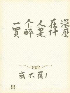 一个人在深夜里买醉是什么歌