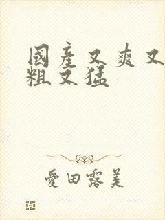 国产又爽又黄又粗又猛