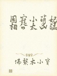 团宠小萌妃王爷相公太凶猛正版阅读