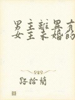 男主离异有孩子女主未婚的小说