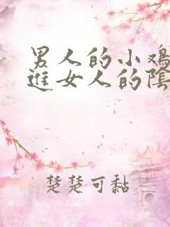 男人的小鸡鸡插进女人的阴道视频