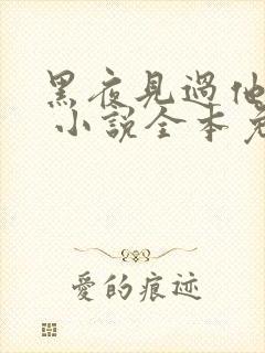 黑夜见过他深情 小说全本免费阅读