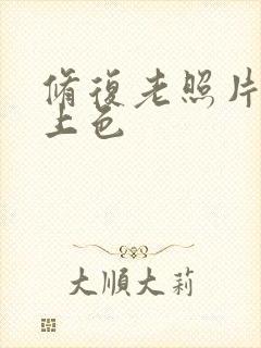 修复老照片如何上色