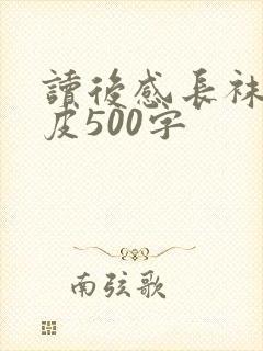 读后感长袜子皮皮500字