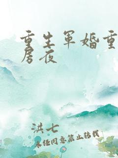 重生军婚重回洞房夜