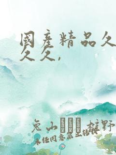 国产精品久久久久久,