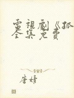 电视剧《孤战》全集免费