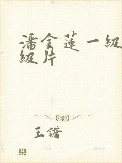 潘金莲一级片一级片