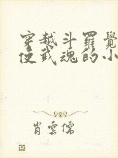 穿越斗罗觉醒天使武魂的小说