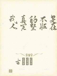 我真的不是坏男人完整版在线阅读